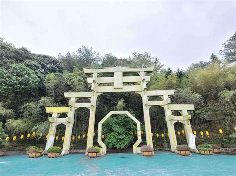 禪機山 仙佛寺|南投國姓｜禪機山仙佛寺：秒飛京都，濃濃日式禪意！五百羅漢超 